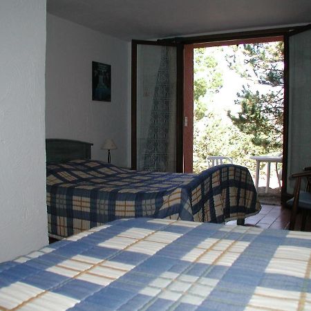 Chambres D'Hote L'Amandiere A Cucugnan Exterior foto